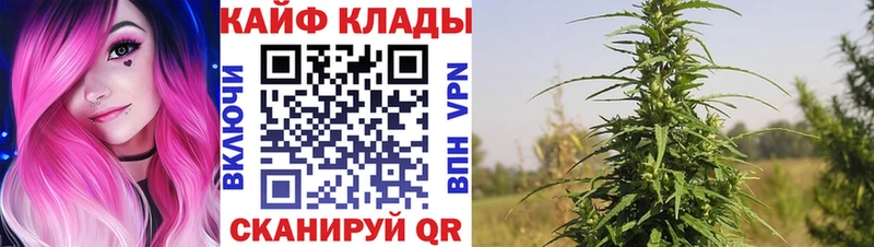 Гашиш Лыткарино