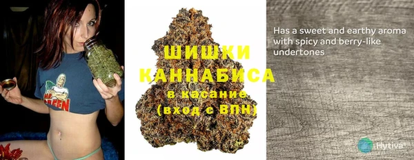 бошки Семилуки