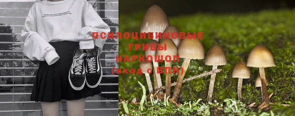 MDMA Беломорск