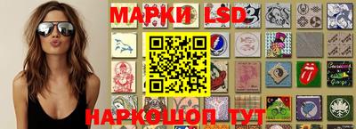 гидра Камышлов