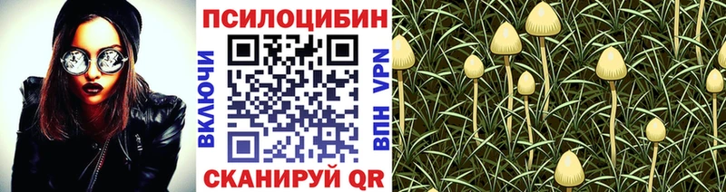 МЕГА онион  закладки  Лыткарино  Галлюциногенные грибы MAGIC MUSHROOMS 
