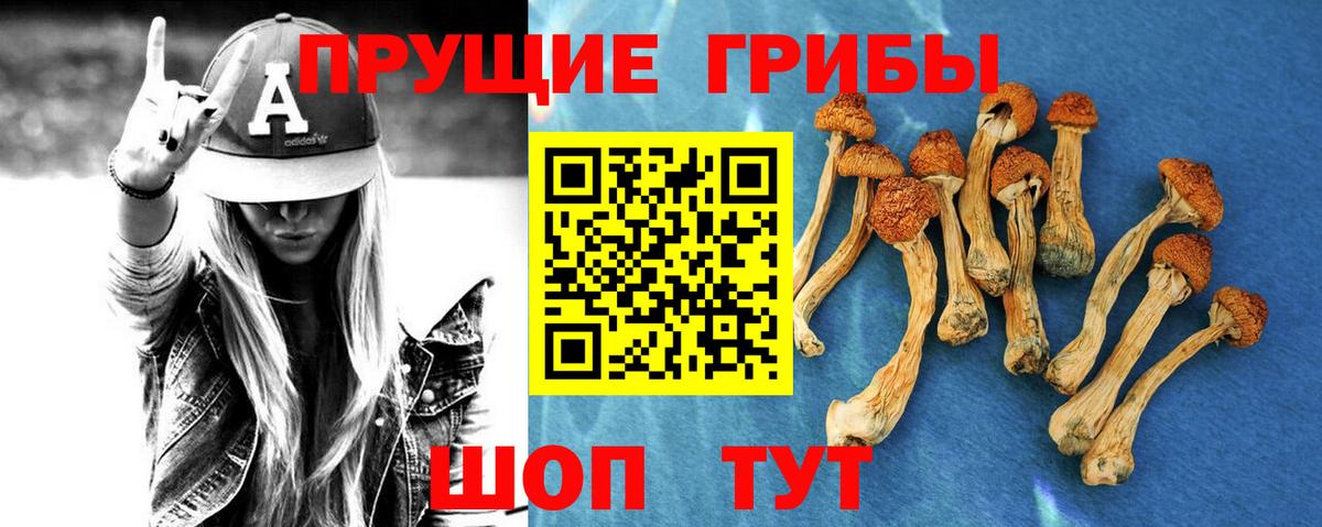 Псилоцибиновые грибы прущие грибы  Вход с VPN  Лыткарино  Галлюциногенные грибы прущие грибы 