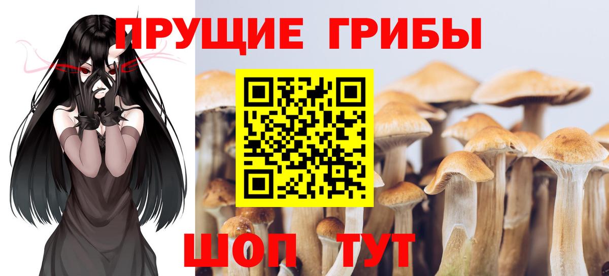 Псилоцибиновые грибы MAGIC MUSHROOMS Лыткарино